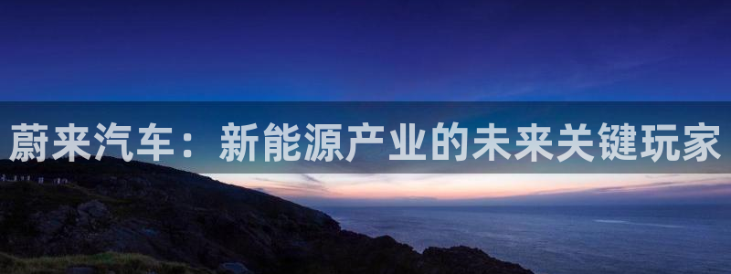 优发国际官网手：蔚来汽车：新能源产业的未来关键玩家