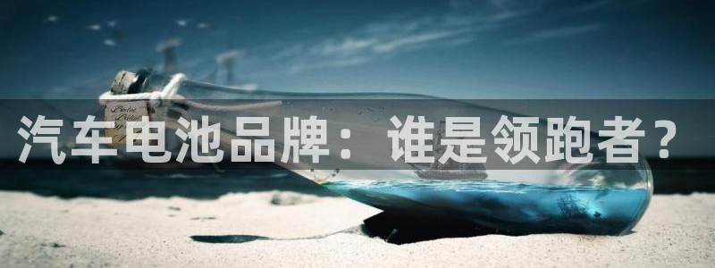 优发国际这个平台怎么样啊：汽车电池品牌：谁是领跑者？