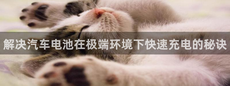 优发国际官网下载安装手机版：解决汽车电池在极端环境下快速充电的秘诀
