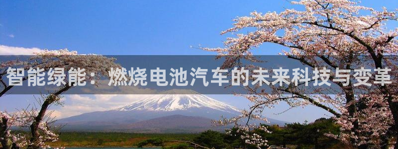 优发国际的官网是正品吗：智能绿能：燃烧电池汽车的未来科技与变革