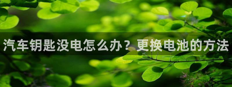 优发国际客服联系方式