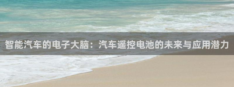 优发国际手机版：智能汽车的电子大脑：汽车遥控电池的未来与应用潜力