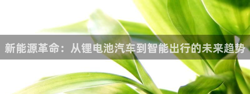 优发国际平台u8是什么软件：新能源革命：从锂电池汽车到智能出行的未来趋势