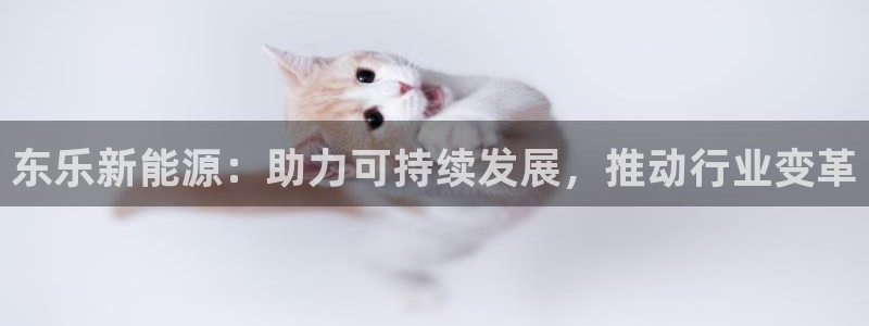 优发国际手机客户端官网首页：东乐新能源：助力可持续发展，推动行业变革