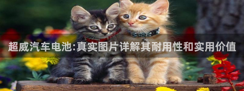 优发国际官网官方网址：超威汽车电池:真实图片详解其耐用性和实用价值
