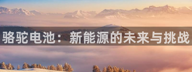 优发国际这个平台怎么样啊：骆驼电池：新能源的未来与挑战