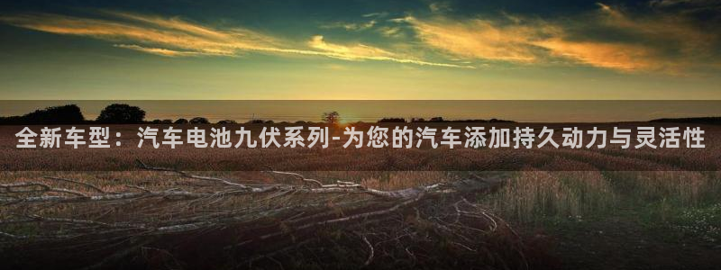 优发国际平台app下载官网：全新车型：汽车电池九伏系列-为您的汽车添加持久动力与灵活性