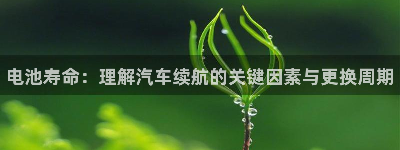优发国际是大平台吗是真的吗：电池寿命：理解汽车续航的关键因素与更换周期