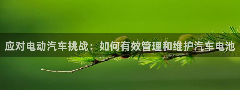 优发国际集团股份有限公司：应对电动汽车挑战：如何有效管理和维护汽车电池