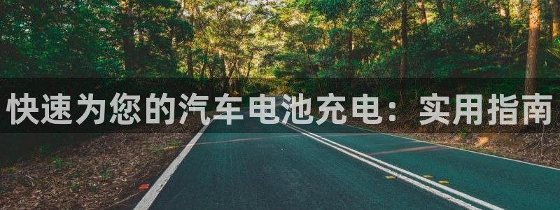 优发国际安卓版下载安装苹果：快速为您的汽