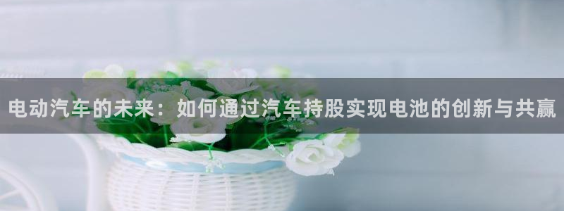 优发国际客服联系方式：电动汽车的未来：如