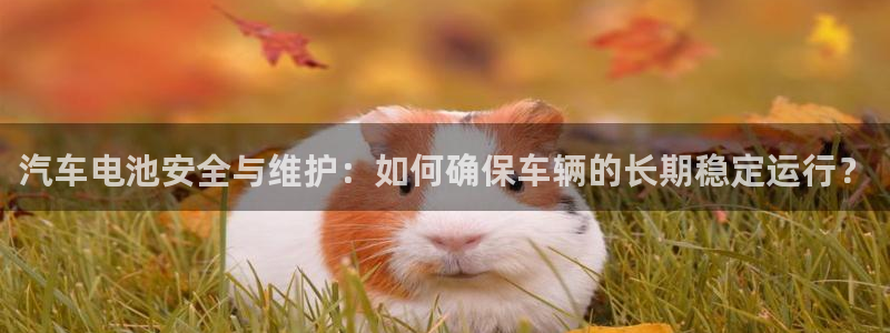 优发国际平台u8是什么软件