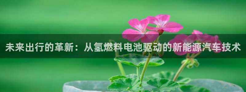优发国际注册平台怎么样：未来出行的革新：