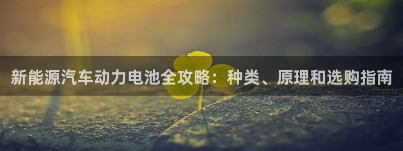 优发国际的官网是什么