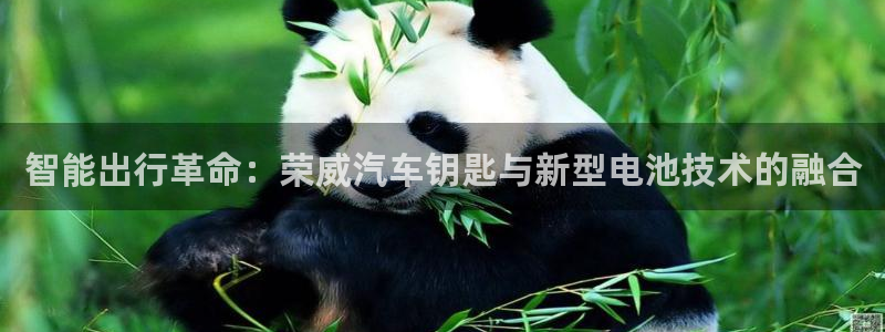 优发国际平台手机版下载