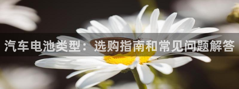 优发国际手机客户端下载安卓
