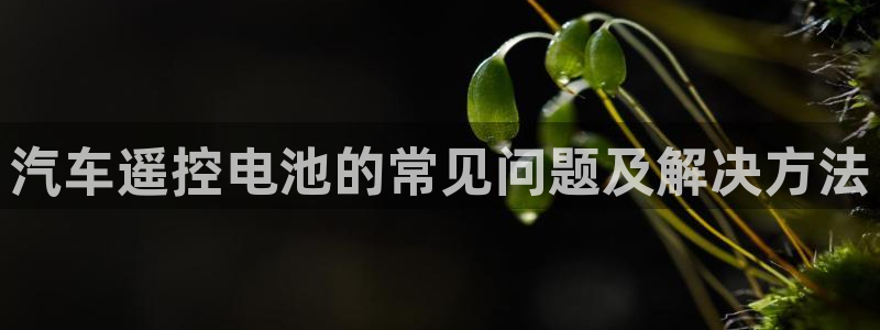 优发国际注册平台是什么