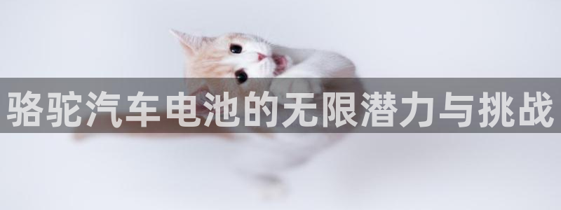 优发国际手机客户端官网首页