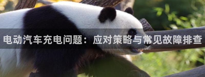 优发国际官网首页入口