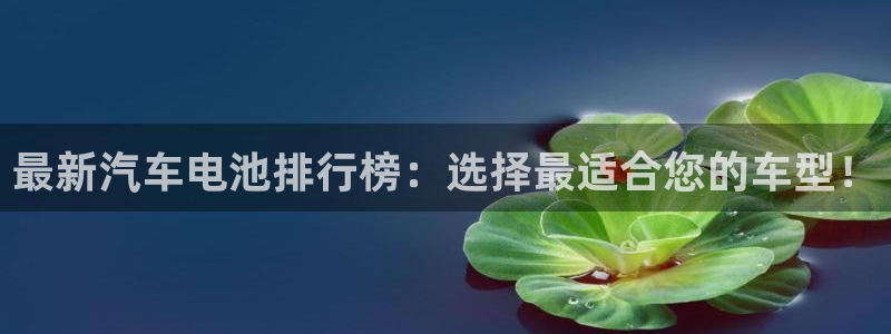 优发国际这个平台怎么样：最新汽车电池排行榜：选择最适合您的车型！